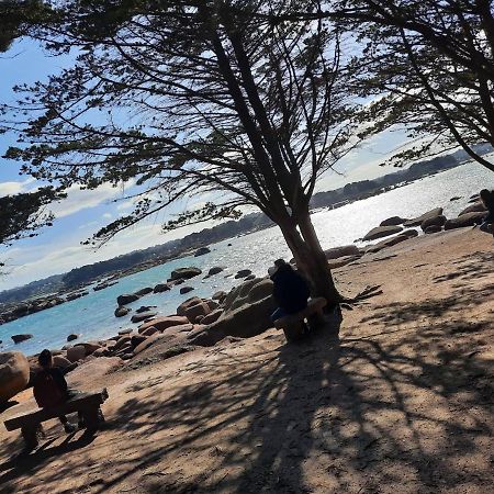 Appartement Plage De Trestraou 45M2 Perros-Guirec Eksteriør billede