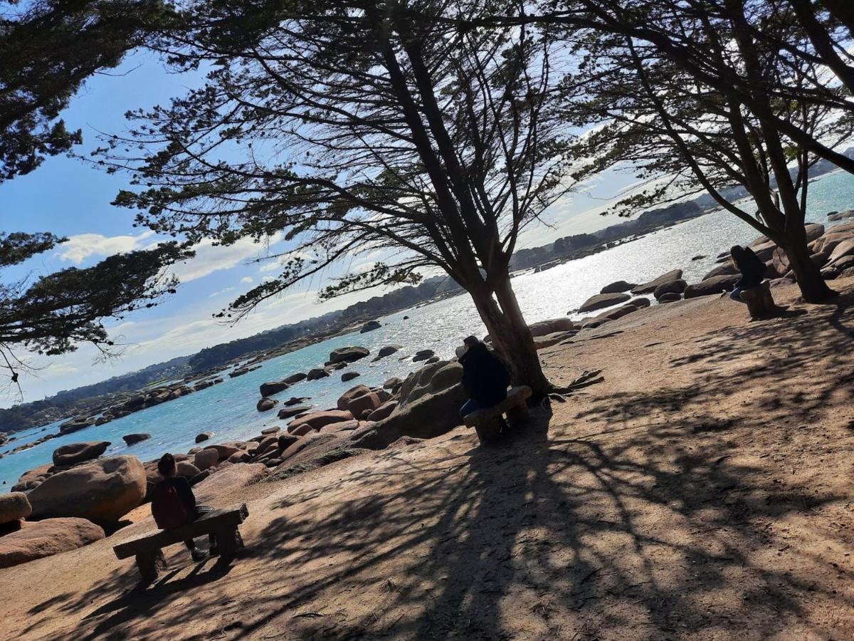 Appartement Plage De Trestraou 45M2 Perros-Guirec Eksteriør billede