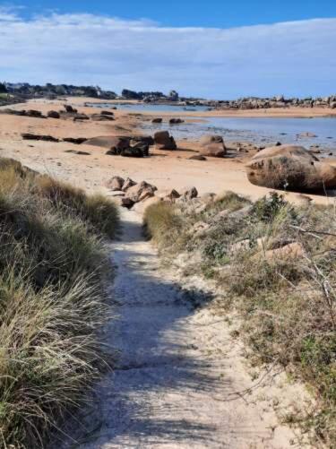 Appartement Plage De Trestraou 45M2 Perros-Guirec Eksteriør billede