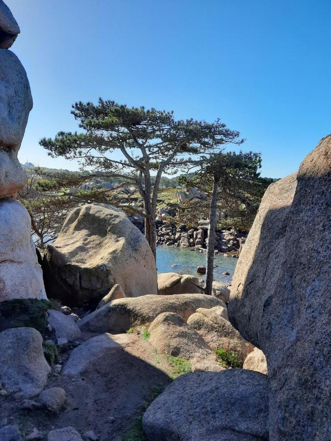 Appartement Plage De Trestraou 45M2 Perros-Guirec Eksteriør billede